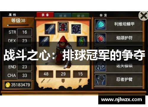 战斗之心：排球冠军的争夺