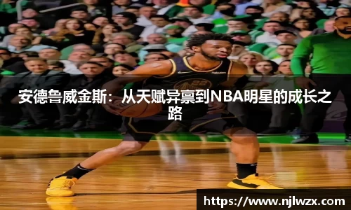 必博bibo官网