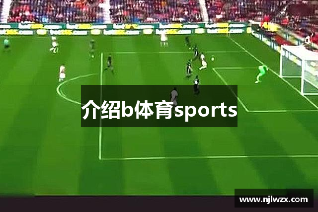 介绍b体育sports